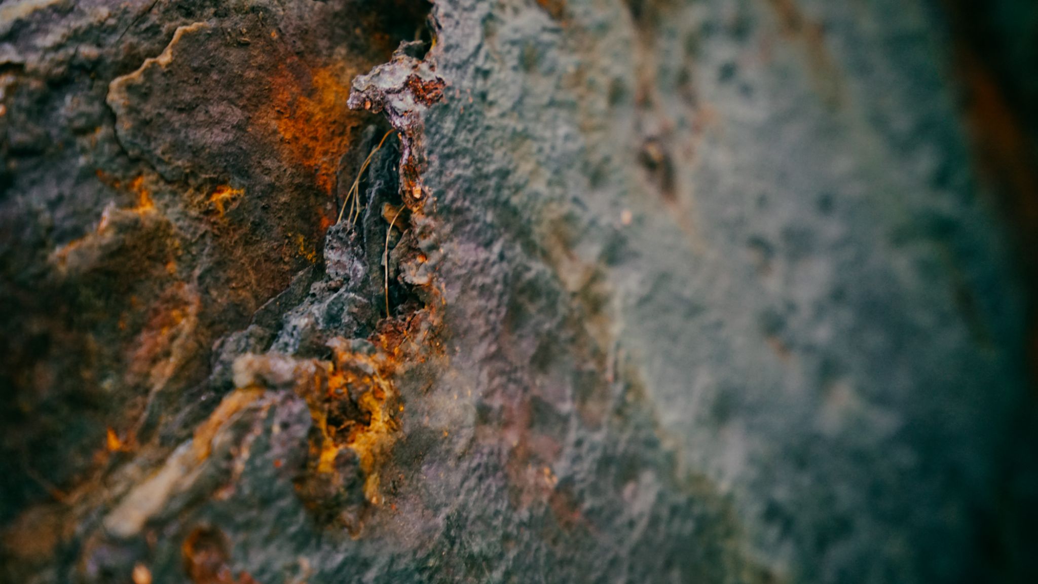 DSC09759